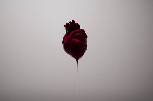 Photograph Sebastian Gray Heart Melt on One Eyeland